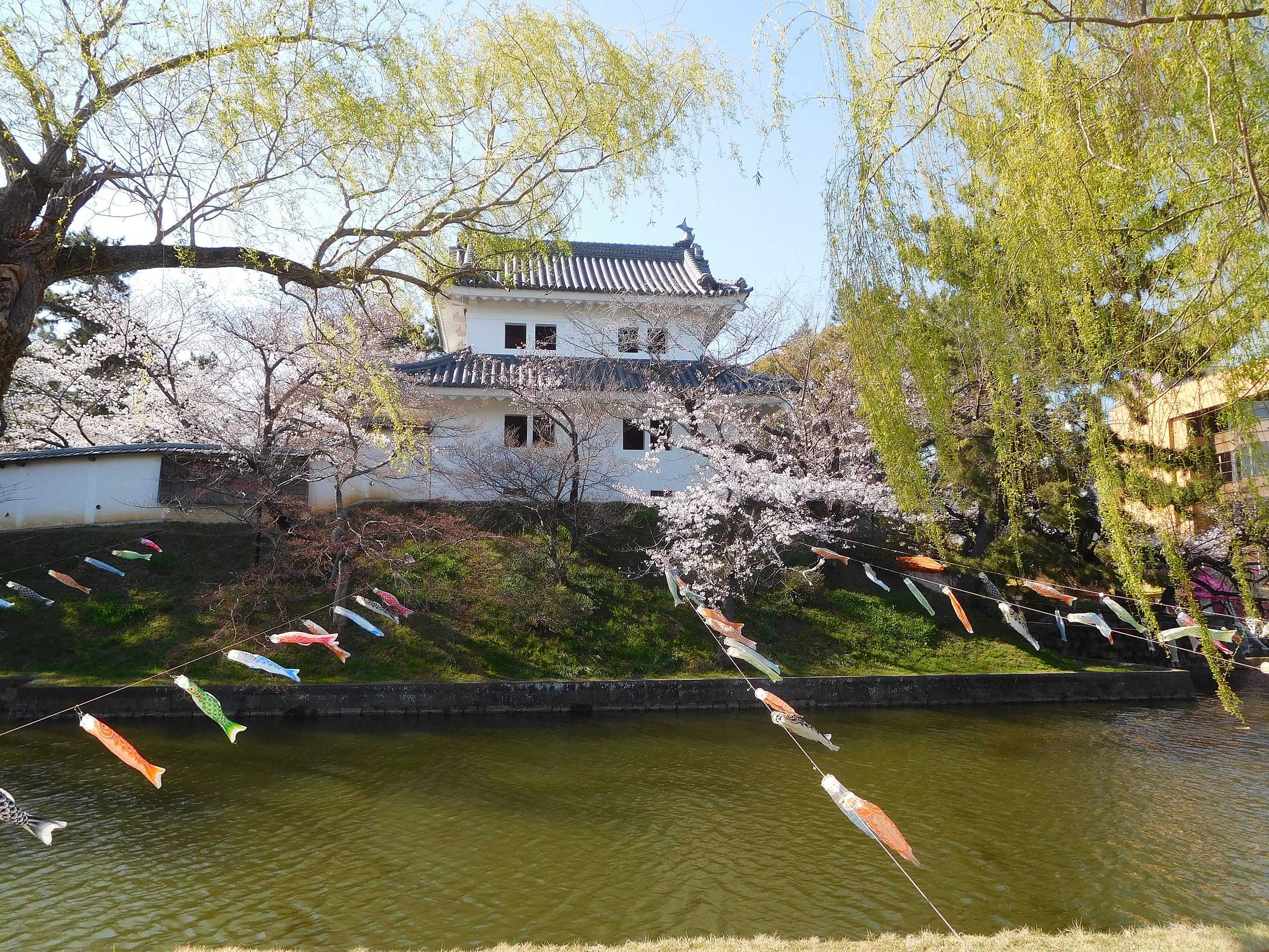 🏯 쓰치우라 성터(쓰치우라조아토) 이미지 4